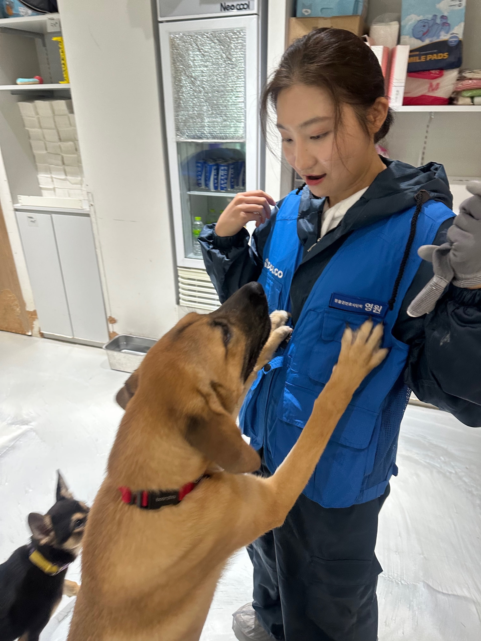 송주현 변호사